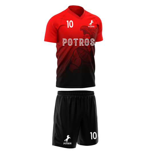 Conjunto deportivo Jersey y Short